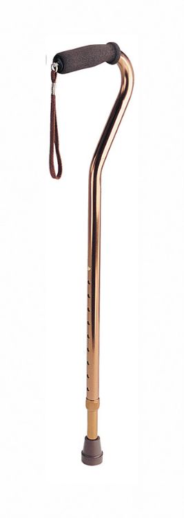 Cane  Offset Handle  Bronze