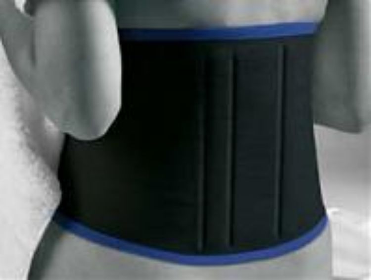 Bort Activecolor Back Brace Support