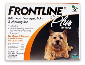 Frontline plus  For Small Dog (11-22lbs) Brand 3 Pack