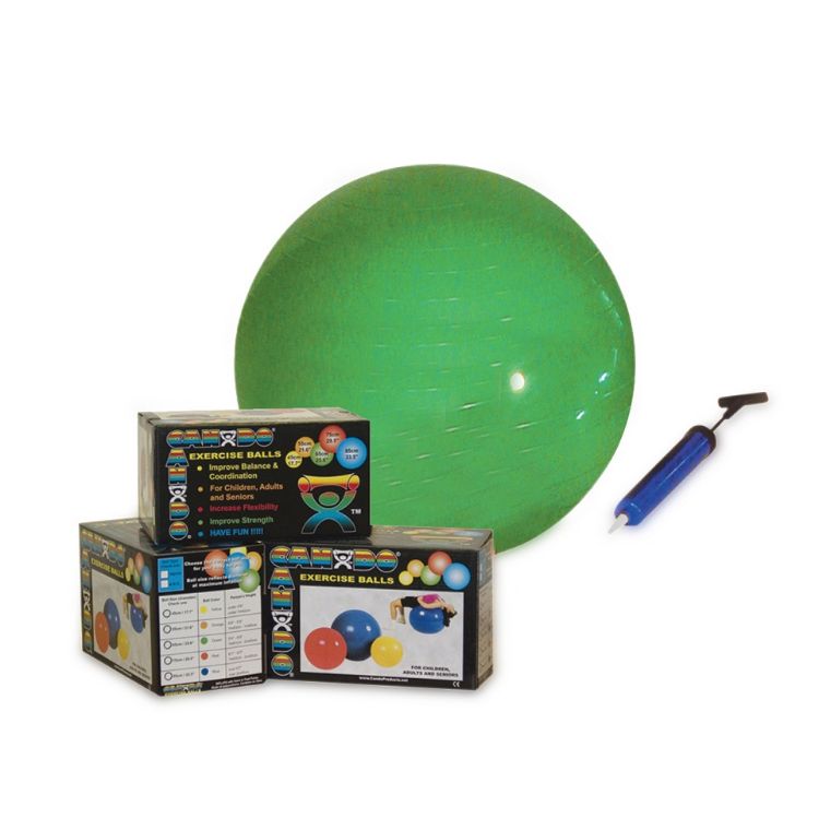 Exercise Ball with Pump: Ball and Pump Set - 22" / 55 cm (Weight Capacity: 300 lbs / 136 kg)