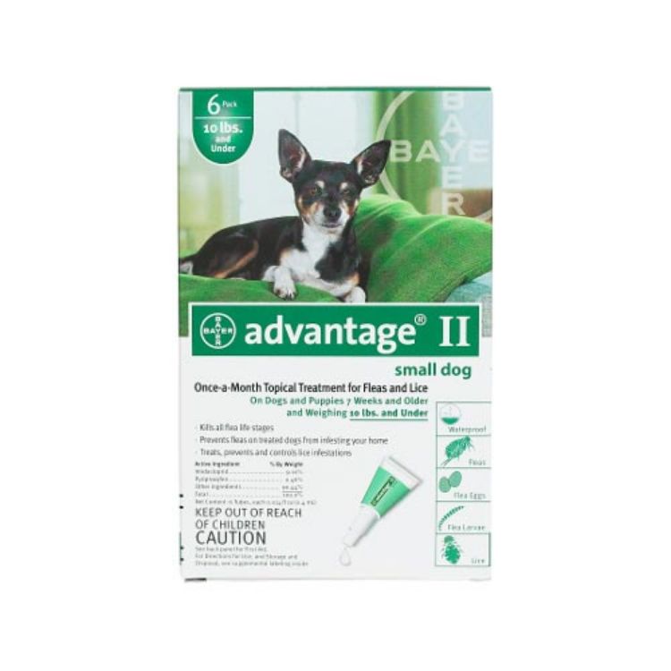 Advantage Flea Control for Dogs and Puppies Under 10 lbs 6 Month Supply