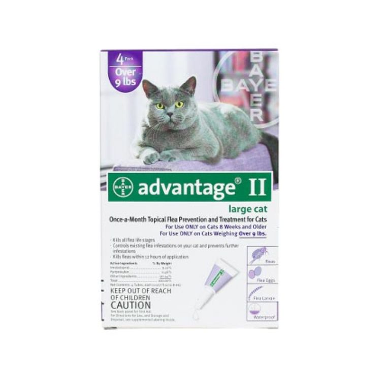 Advantage Flea Control for Cats and Kittens Over 9 lbs 4 Month Supply