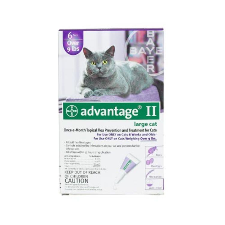 Advantage Flea Control for Cats and Kittens Over 9 lbs 6 Month Supply