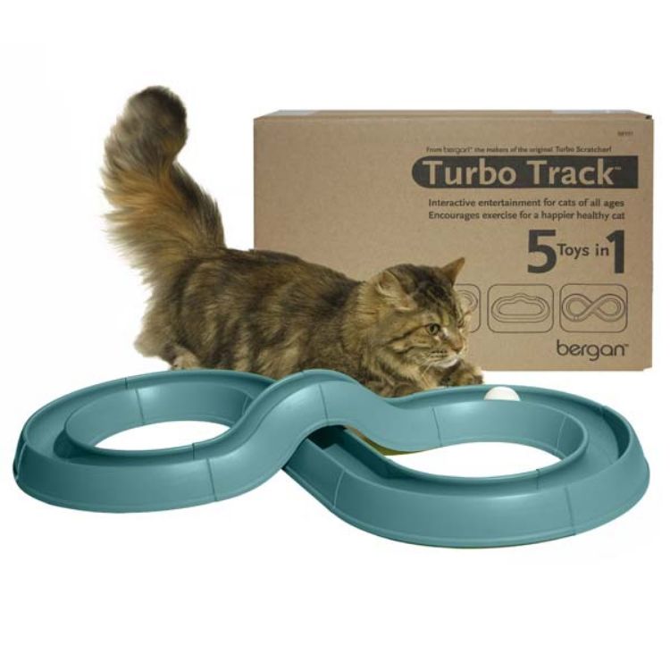 Bergan cat sale