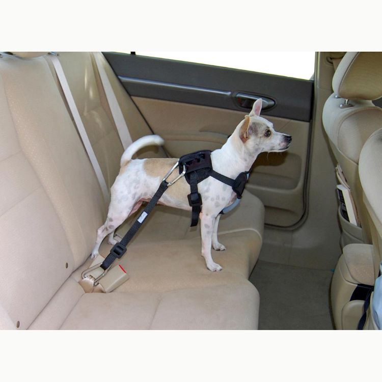 Bergan Dog Travel Harness Small Blue 