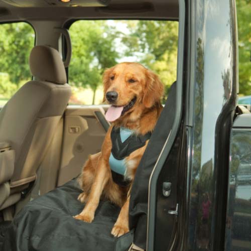 Bergan dog harness shop