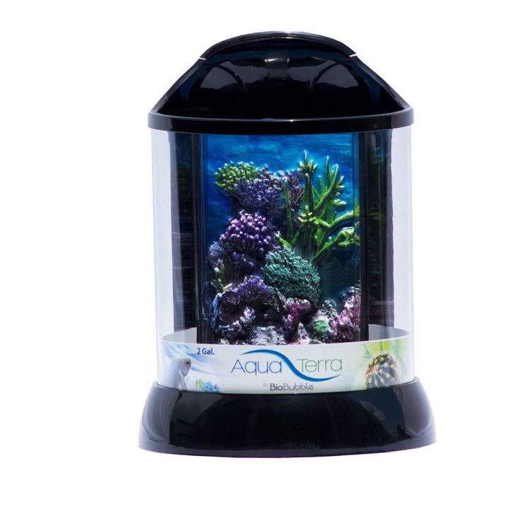 BioBubble Aqua Terra 3D Coral Background 2 Gallon Black 9" x 9" x 12"