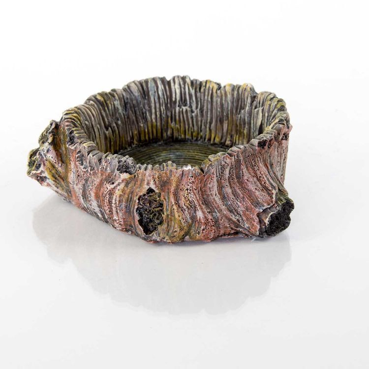 BioBubble Decorative Stump Bowl Large 3.75" x 3.75" x 1.35"