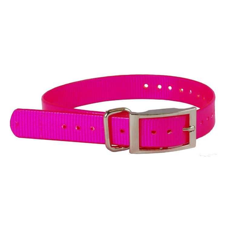 The Buzzard's Roost Collar Strap 1" Pink 1" x 24"