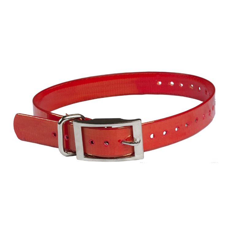 The Buzzard's Roost Collar Strap 1" Red 1" x 24"