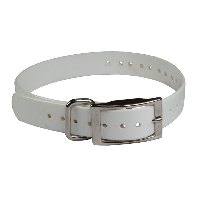 The Buzzard's Roost Collar Strap 1" White 1" x 24"