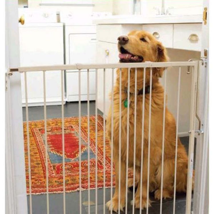 Cardinal Gates Duragate Hardware Mounted Dog Gate White 26.5" - 41.5" x 29.5" 