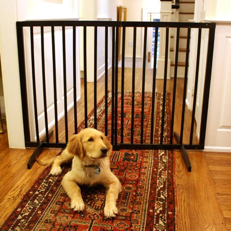 Cardinal Gates Extra Tall Freestanding Pet Gate Black 27.5" - 51" x 36" 