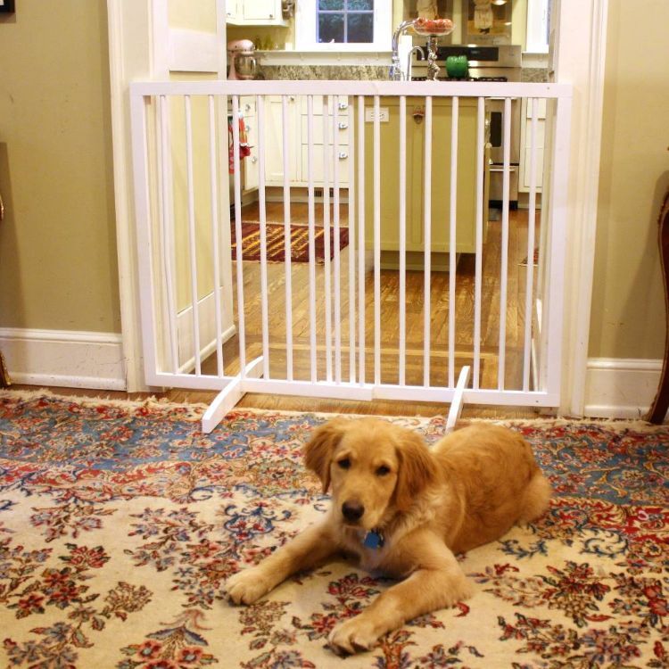 Cardinal Gates Extra Tall Freestanding Pet Gate White 27.5" - 51" x 36" 