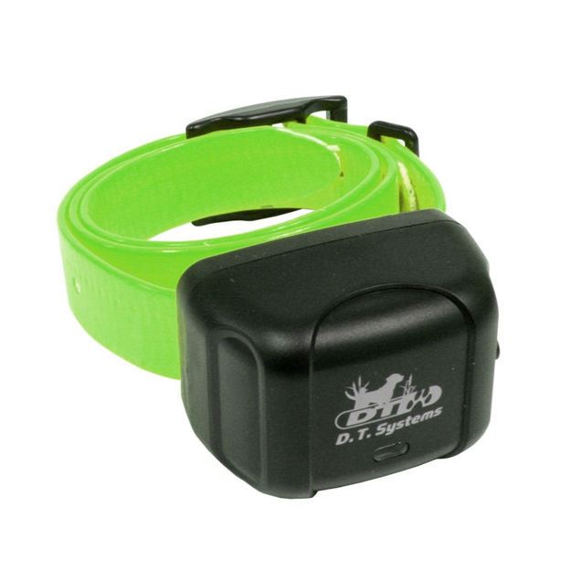 D.T. Systems Rapid Access Pro Dog Trainer Add-on collar Green