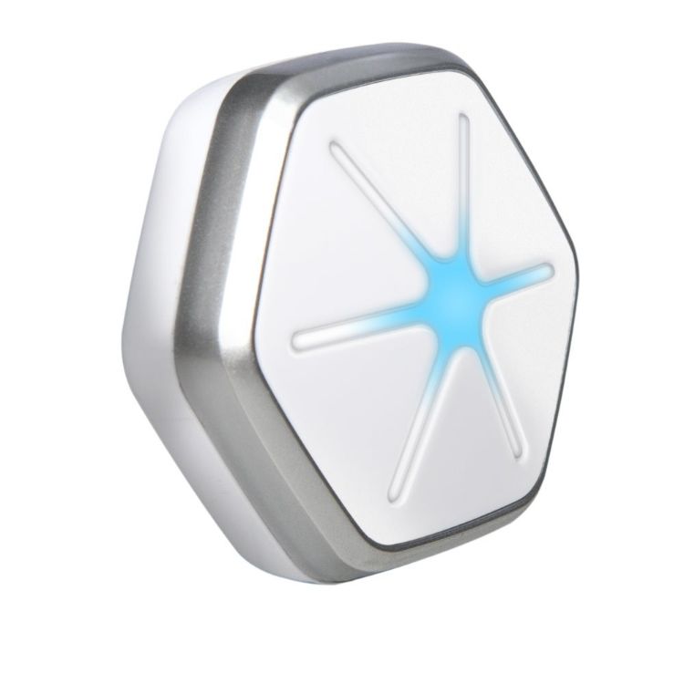 Dogtra StarWalk Activity Tracker White 1.6" x 0.6" 