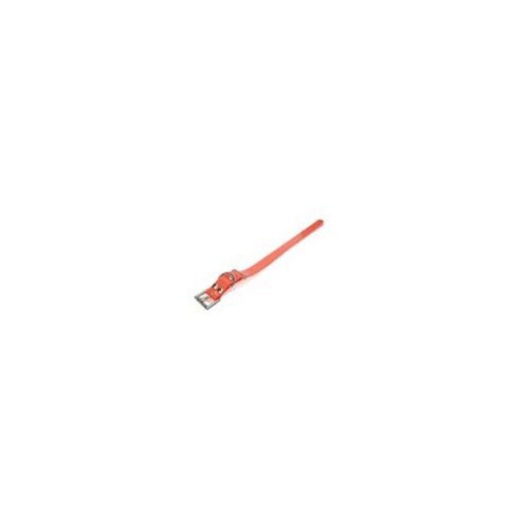 Dogtra Extra Dog Collar Strap Orange 1" x 24"