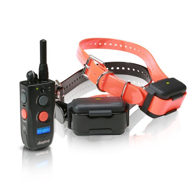 Dogtra Field Star 1/2 Mile 2 Dog Remote Trainer Black / Orange 