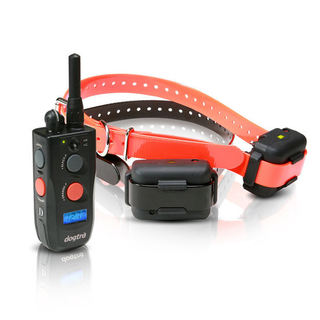 Dogtra Platinum 1/2 Mile 2 Dog Remote Trainer Black / Orange 