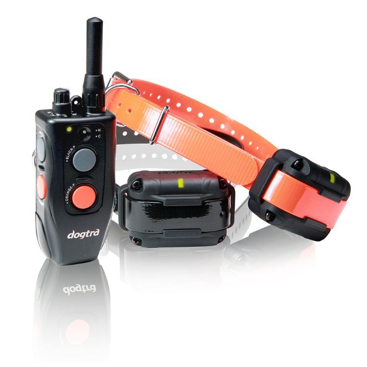 Dogtra Element Hunter Series 1/2 Mile 2 Dog Remote Trainer Black / Orange 