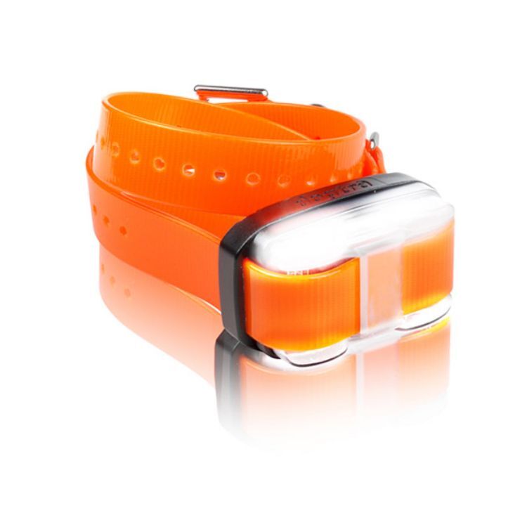 Dogtra EDGE 1 Mile Extra Dog Collar Orange