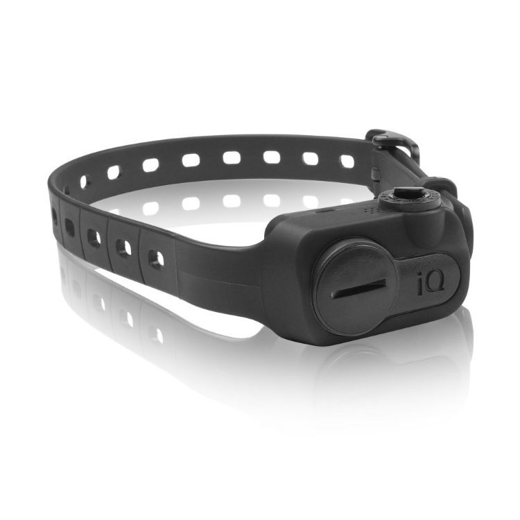 Dogtra iQ No Bark Collar Black