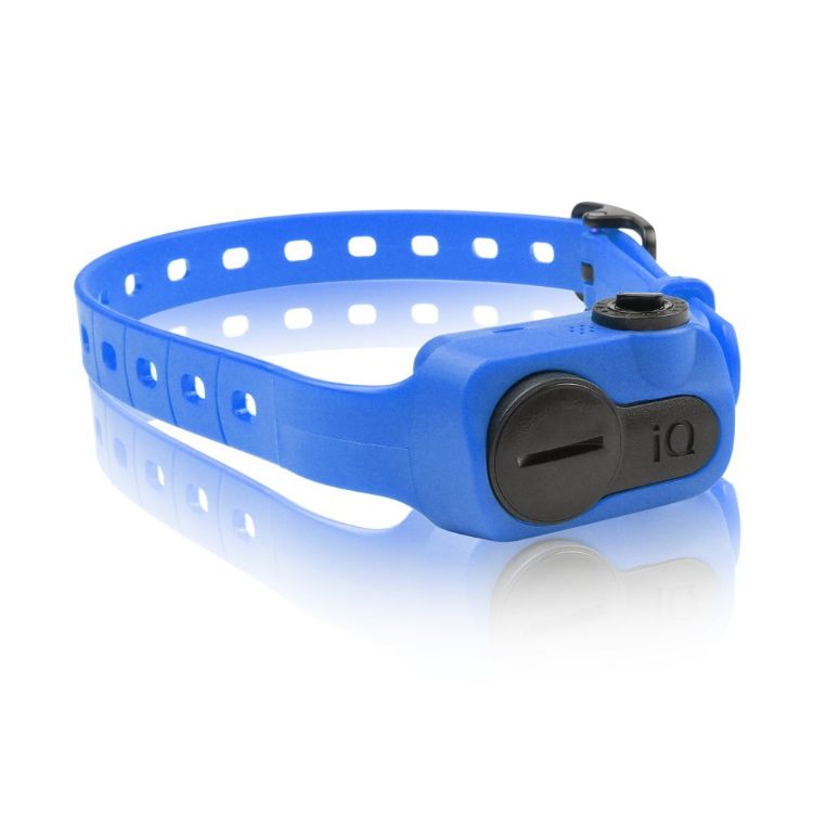 Dogtra iQ No Bark Collar Blue 