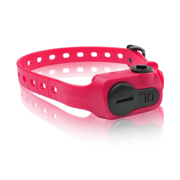 Dogtra iQ No Bark Collar Pink