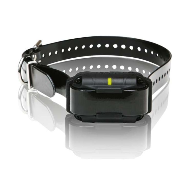 Dogtra SureStim H Plus 1/2 mile Extra Collar  Black 