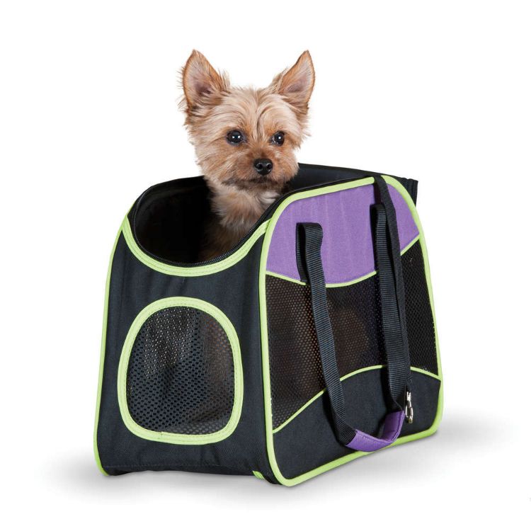 K&H Pet Products Easy Go Pet Carrier Purple/Black/Lime Green 16.54" x 7.87" x 11.02" 
