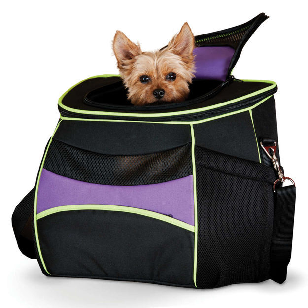 K&H Pet Products Comfy Go Back Pack Pet Carrier Purple/Black/Lime Green 15.35" x 11.42" x 13.98" 