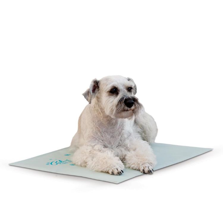 K&H Pet Products Coolin Pet Gel Pad Medium Gray 15" x 20" 