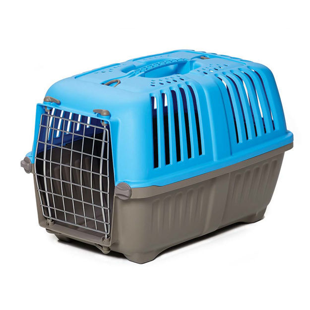 Midwest Spree Plastic Pet Carrier Blue 18.875" x 12.75" x 12.75"
