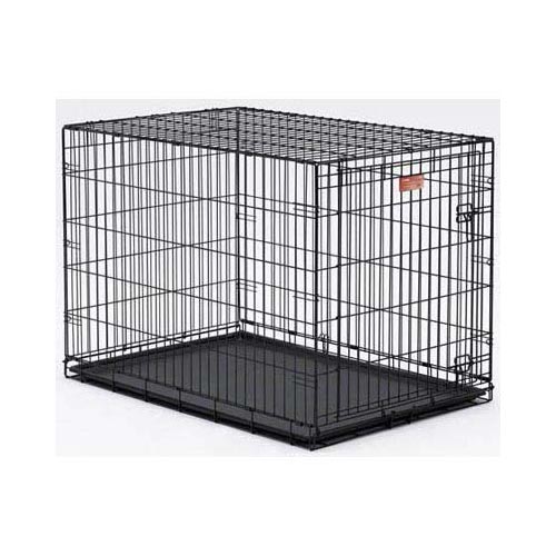 Dog crate 48 x 36 cheap