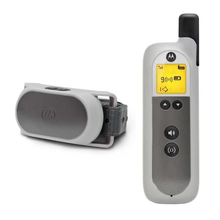 Motorola Dog Basic Remote Training System Gray 