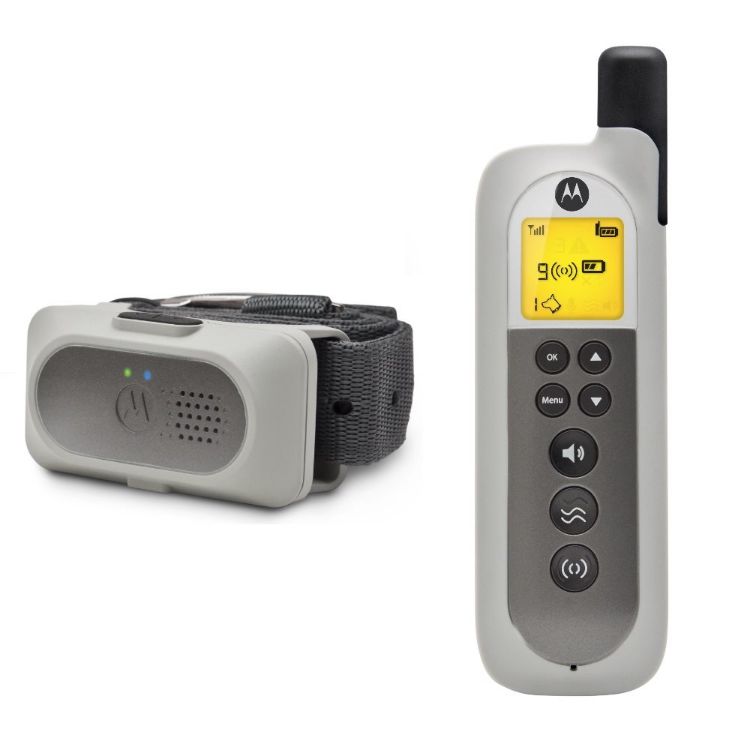 Motorola Dog Advanced Remote Training System Gray 