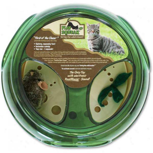 Our Pets Play-N-Squeak Thrill of the Chase Green 