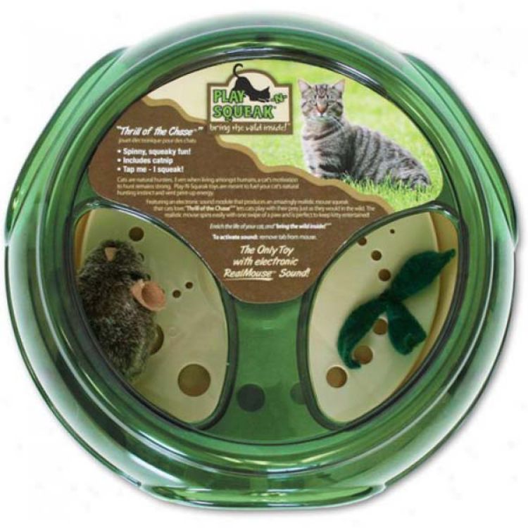 Our Pets Play-N-Squeak Thrill of the Chase Green 