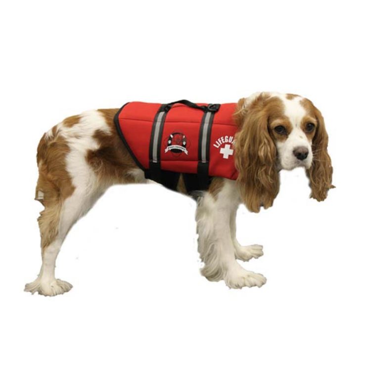 Paws Aboard Dog Life Jacket Extra Extra Small Red 