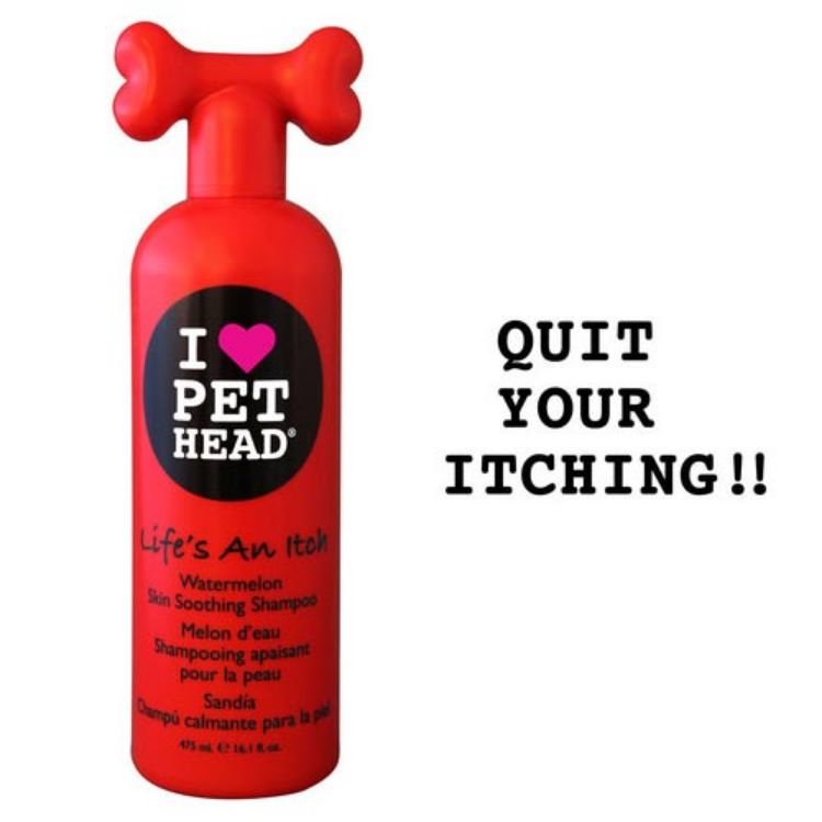 Pet Head Life's an Itch Skin Soothing Shampoo Watermelon 16oz 9" x 3" x 2.5" 