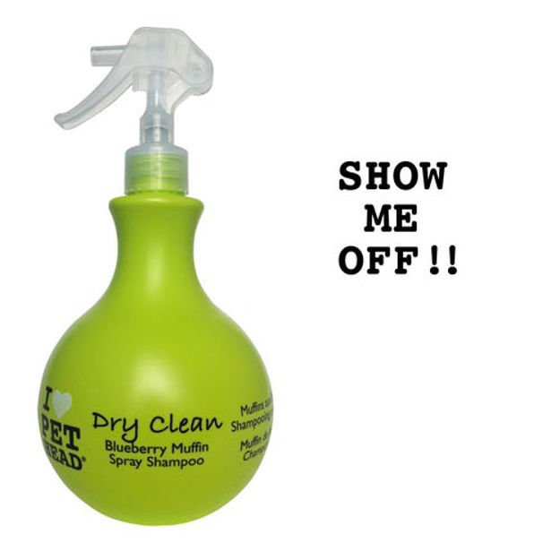 Pet Head Dry Clean Spray Shampoo Blueberry Muffin 15oz 8" x 3.5" x 3.5" 
