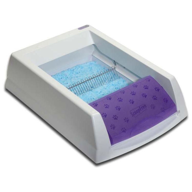 Scoopfree deals