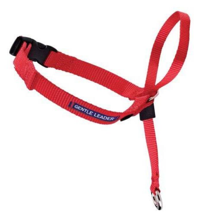 Premier Gentle Leader Quick Release Head Collar Medium Red