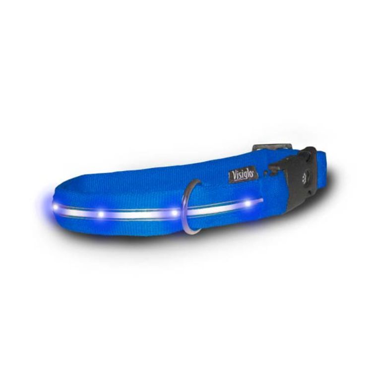 Visiglo Nylon Collar with LED Lights Small Blue / Blue 