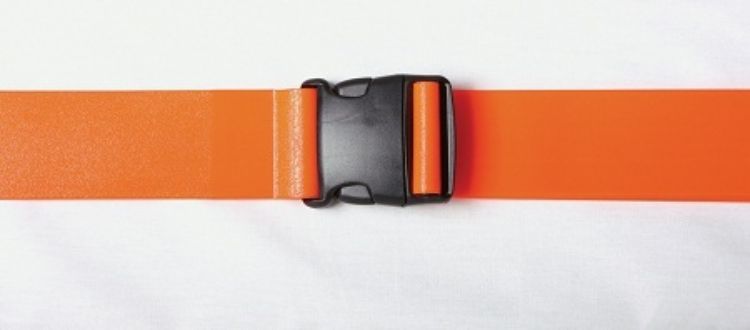 Wipeable Gate Belt 50"