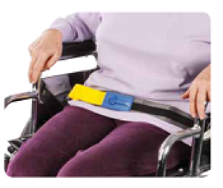 EZ Release Seatbelt with TR2 Alarm
