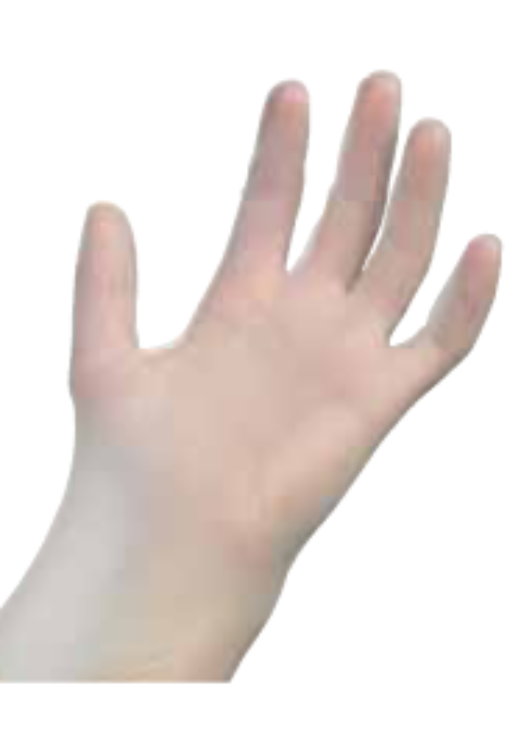 Examination Grade Vinyl Gloves Powdered -Medium