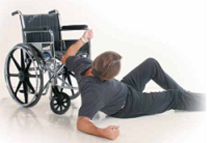 Anti Rollback System: With Alarm (16"- 20" / 40½ - 51 cm)