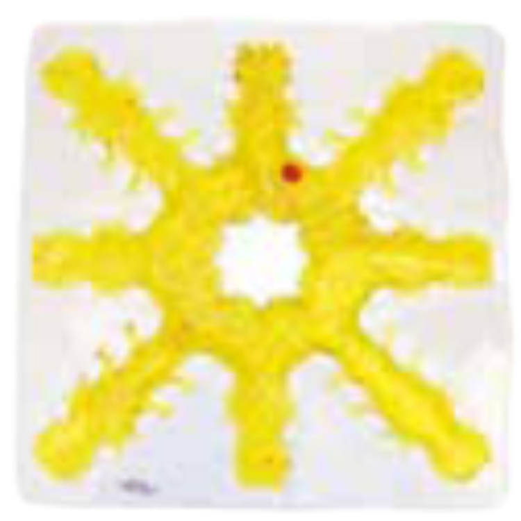 Light Box Gel-Maze Series: 8 Spoke Snow Flake - Blue 