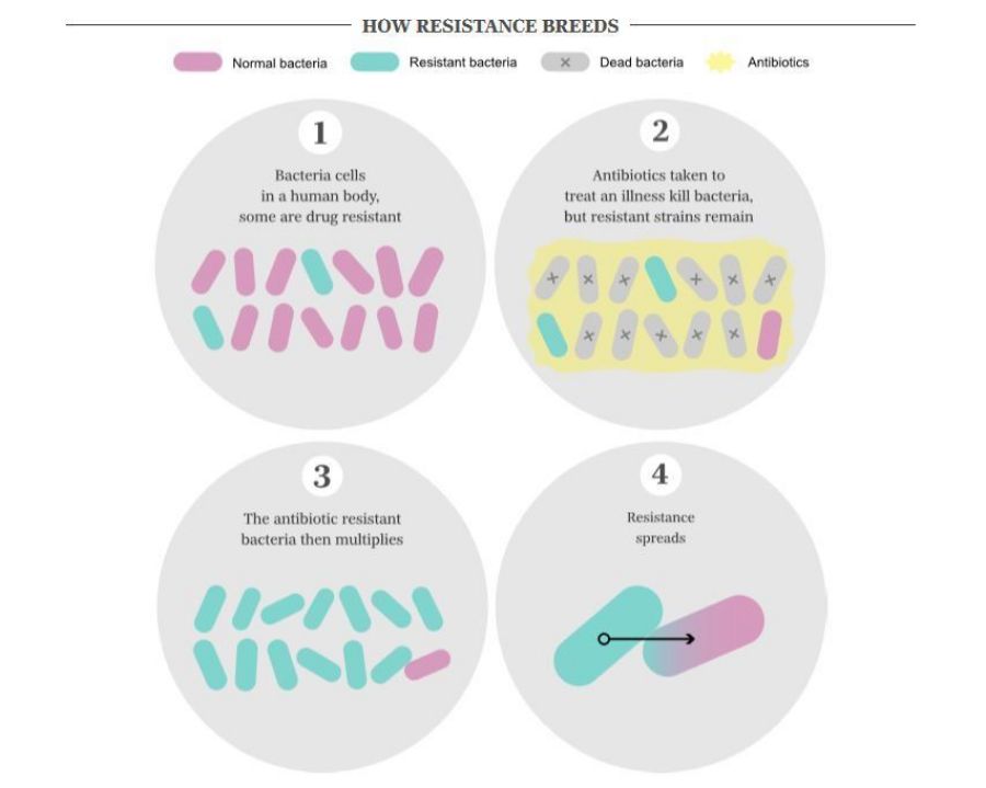 Bacterial infections and antibacterial ointment